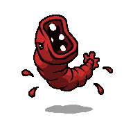 Scolex