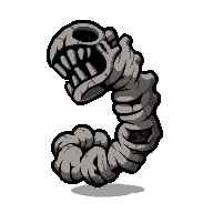 The Shell